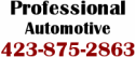 Professional Automotive (Hixson, TN)