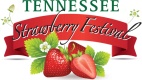 Tennessee Strawberry Festival (Dayton, TN)