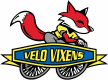 Velo Vixens Cycling Club (Chattanooga, TN)